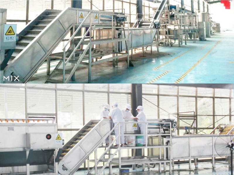 Fresh Tomato Pre-Treatment System