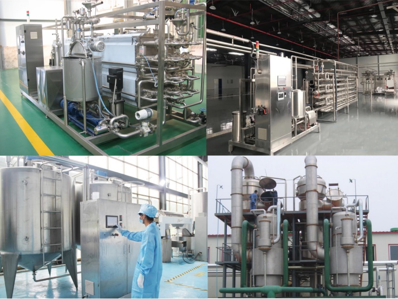 Tomato Paste Concentration and Sterilization System